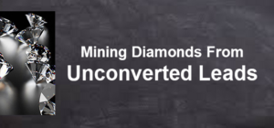 Mining Diamonds From Unconverted Leads-slider-image